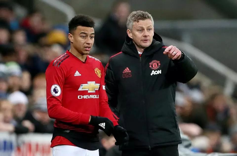 成为网球界 成为网球界